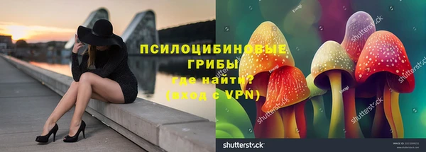 гидропоника Богородск