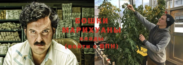 бошки Белокуриха