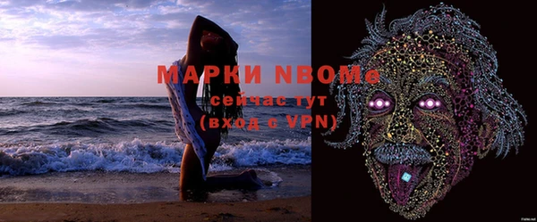 индика Беломорск