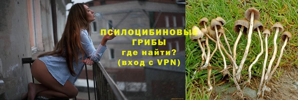 соль ск Богородицк