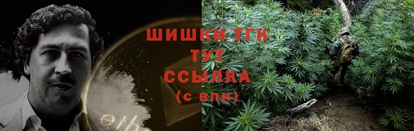 ешки Богданович