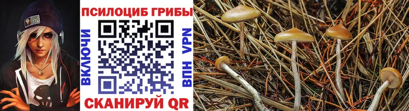 магазин продажи Учалы Галлюциногенные грибы мухоморы